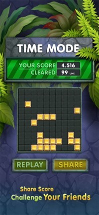 10s Amazing! Wood Block Puzzle screenshot