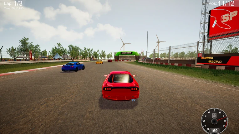 CarSim Racing screenshot