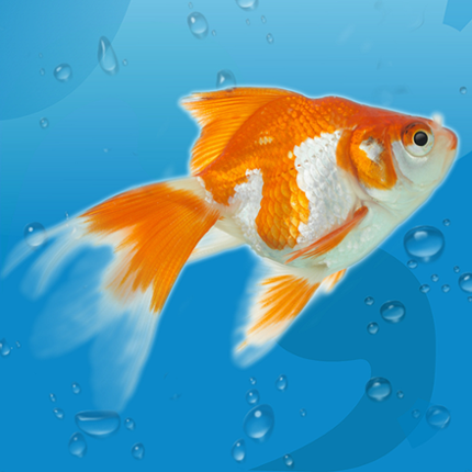 AquaLife 3D Image