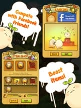 Mandora Image