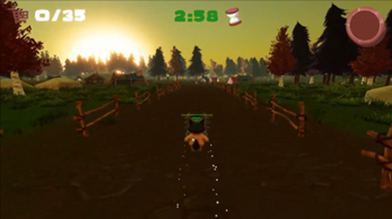 Raccoon Rampage screenshot