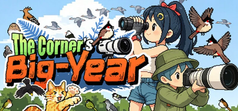The Corner's Big-Year Image