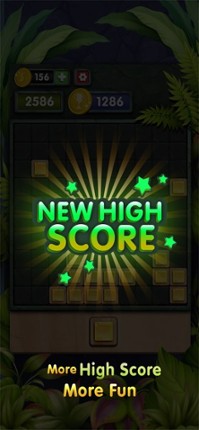 10s Amazing! Wood Block Puzzle screenshot