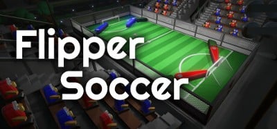 Flipper Soccer Image