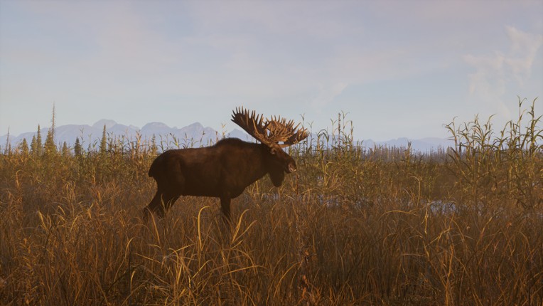 Next Hunting Adventure screenshot
