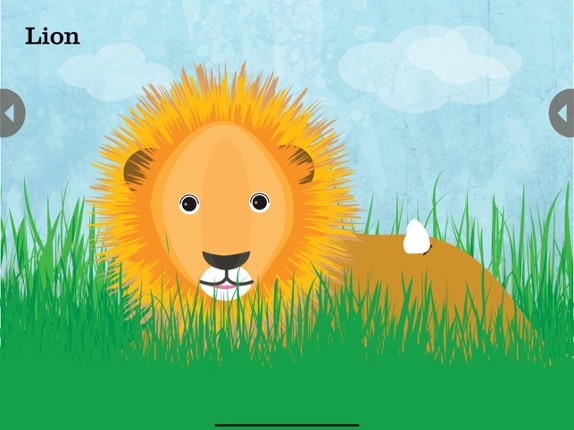 Peek-a-Zoo: Peekaboo Zoo Games screenshot