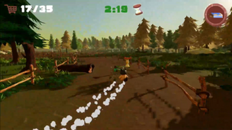 Raccoon Rampage screenshot