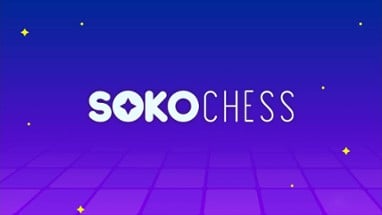 SokoChess Image