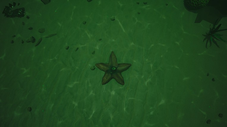 Starfish Simulator Image