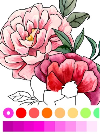 Dot to Dot to Coloring Image