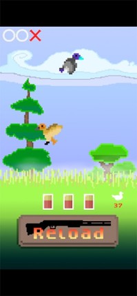 Flying Duck Arcade Image