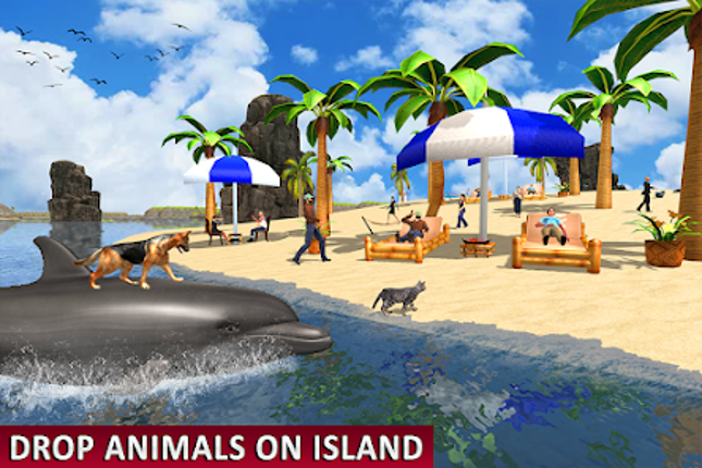 Dolphin Transport Beach game Image