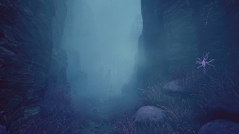 A Planet in the Fog Image