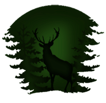 Games like Picture The Wild