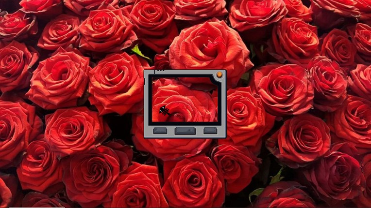 Intentional Bugs screenshot