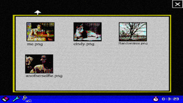 Lucy Gorbalm is Missing Image