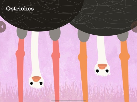 Peek-a-Zoo: Peekaboo Zoo Games screenshot