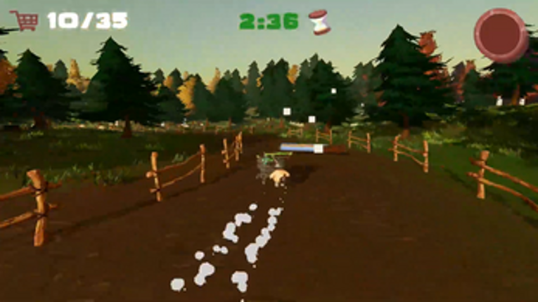 Raccoon Rampage screenshot