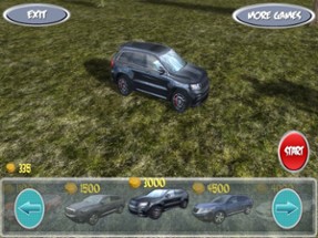 SUV Drive 3D Image