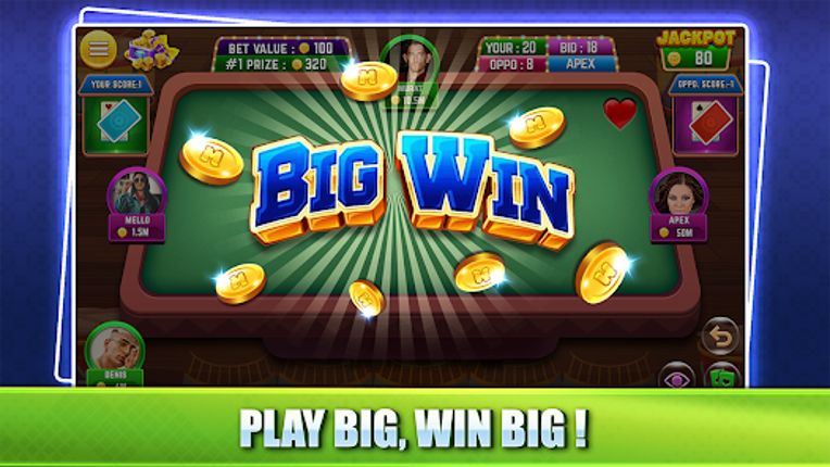 29 Card Game - Play Offline screenshot