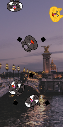 Categorical Cats Image