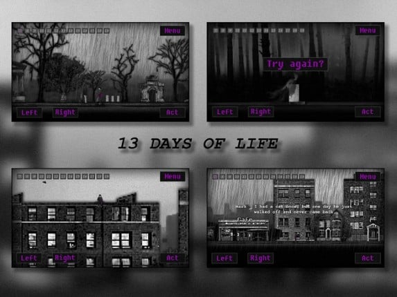 13 Days of Life Image