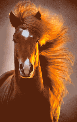 Custom Horse Race Tests Image