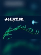 Jellyfish Image