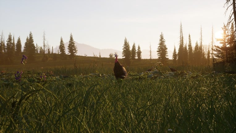 Next Hunting Adventure Image