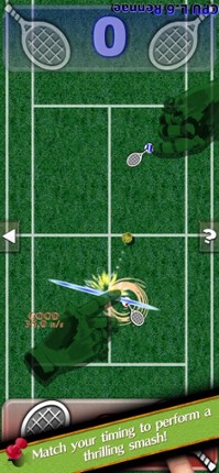 Switch Sports screenshot