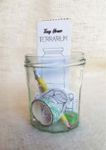 Tiny Home Terrarium Image