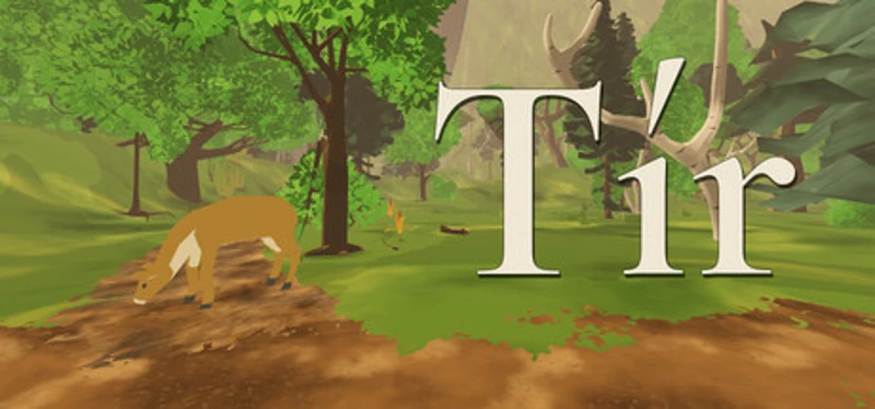 Tír Image