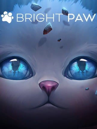 Bright Paw Game Cover