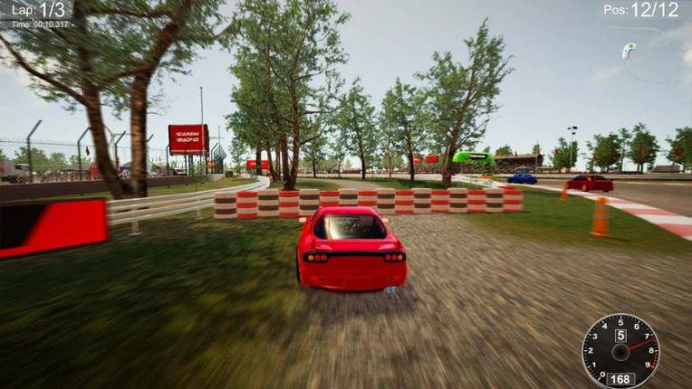 CarSim Racing screenshot