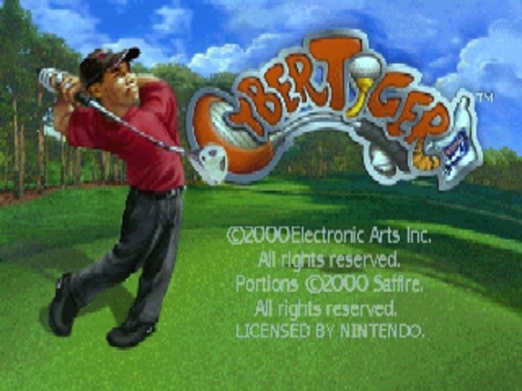 Cyber Tiger Image