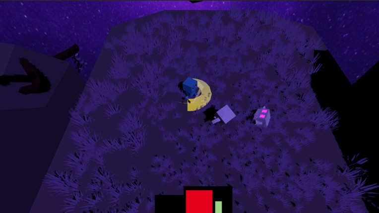 Warped Point Image