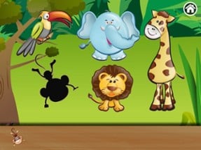 Animals of the jungle Image