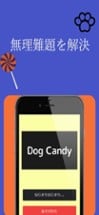 Dog Candy Image