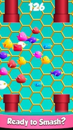 Cool Birds Fun Smash for Kids screenshot