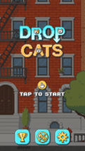 Drop Cats Image