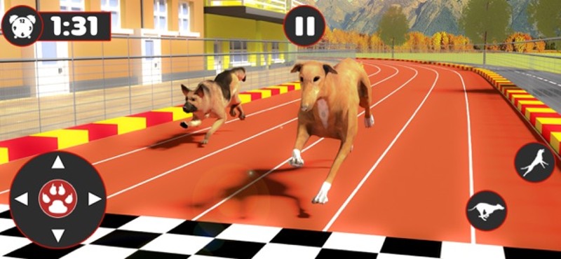 Greyhound Dog Racing Derby screenshot