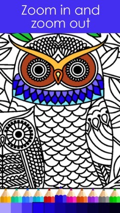 Picture Colorful - Coloring Book for Adults screenshot