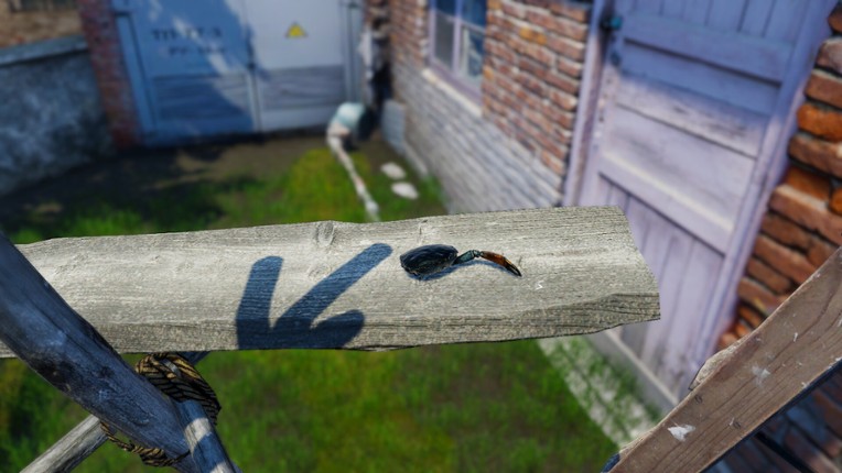 Strong Crab screenshot