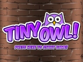 Tiny Owl Image