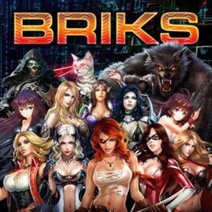 Briks Image