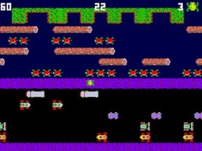 Clumpsy Frogger 2D Image