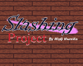 Slashing Project Image