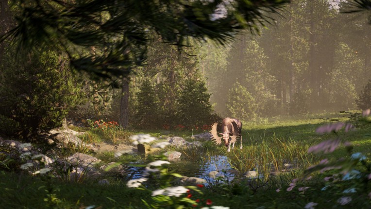 Next Hunting Adventure Image