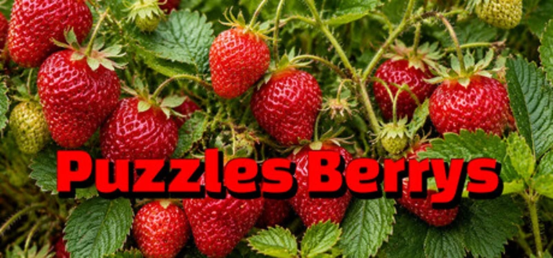 Puzzles Berrys Image