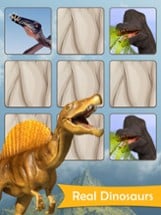 Dinosaurs Memory Image